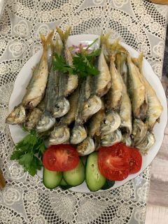 уроки на парусной лодке